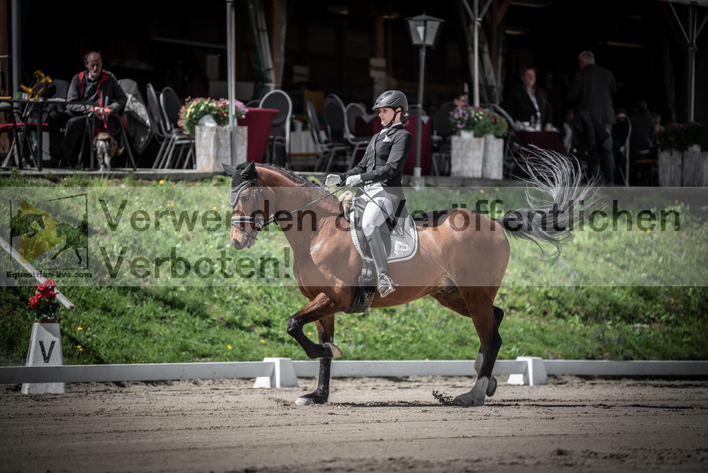 DSC_2119 | equestrian-live-com