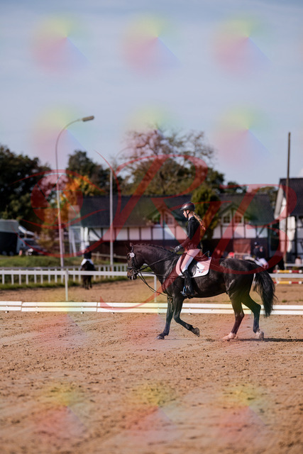 2026_10_03_Siefer-Hof_115444_Z81_94531595 | Professionelle Reitsport-, Turnier- und Eventfotografie von Robert Broda. Galerien mit ausgewählten und bearbeiteten Bildern direkt online ansehen und bestellen.