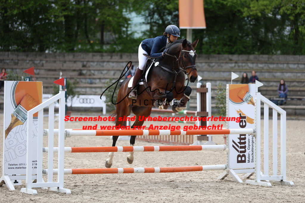 A40A1946 | lmwpictures - Realisiert mit Pictrs.com