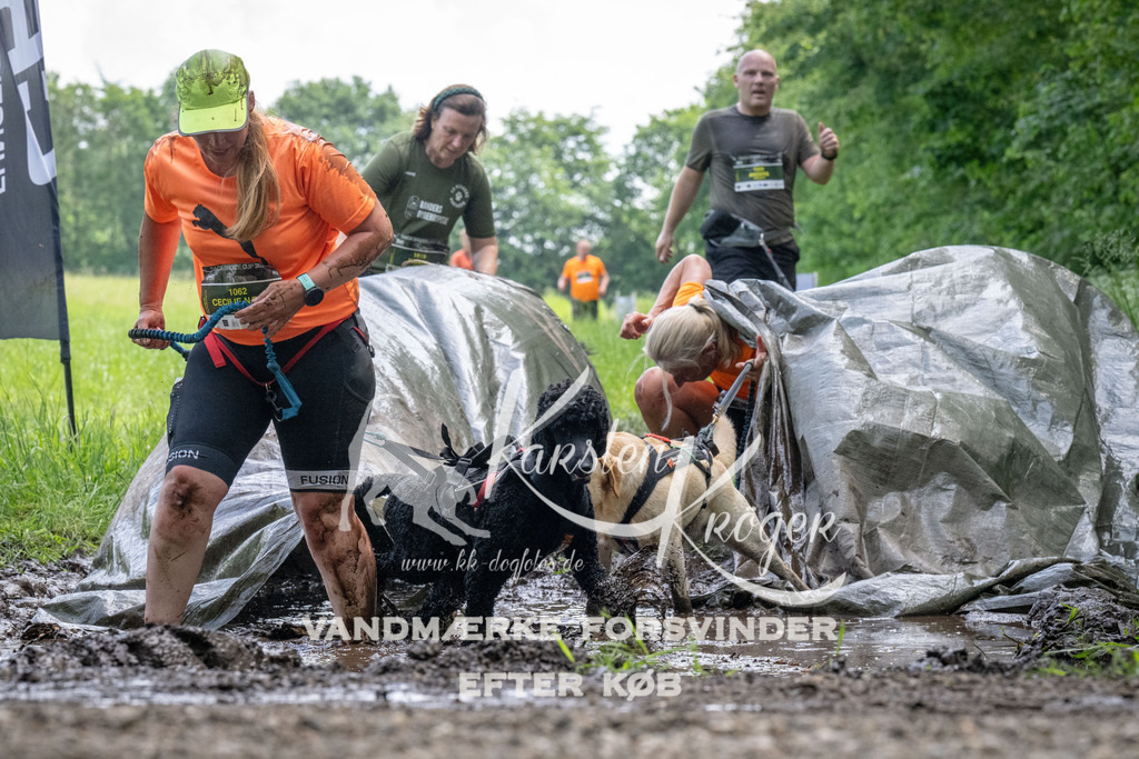 1142_ZZ94021 | kk-dogfotos