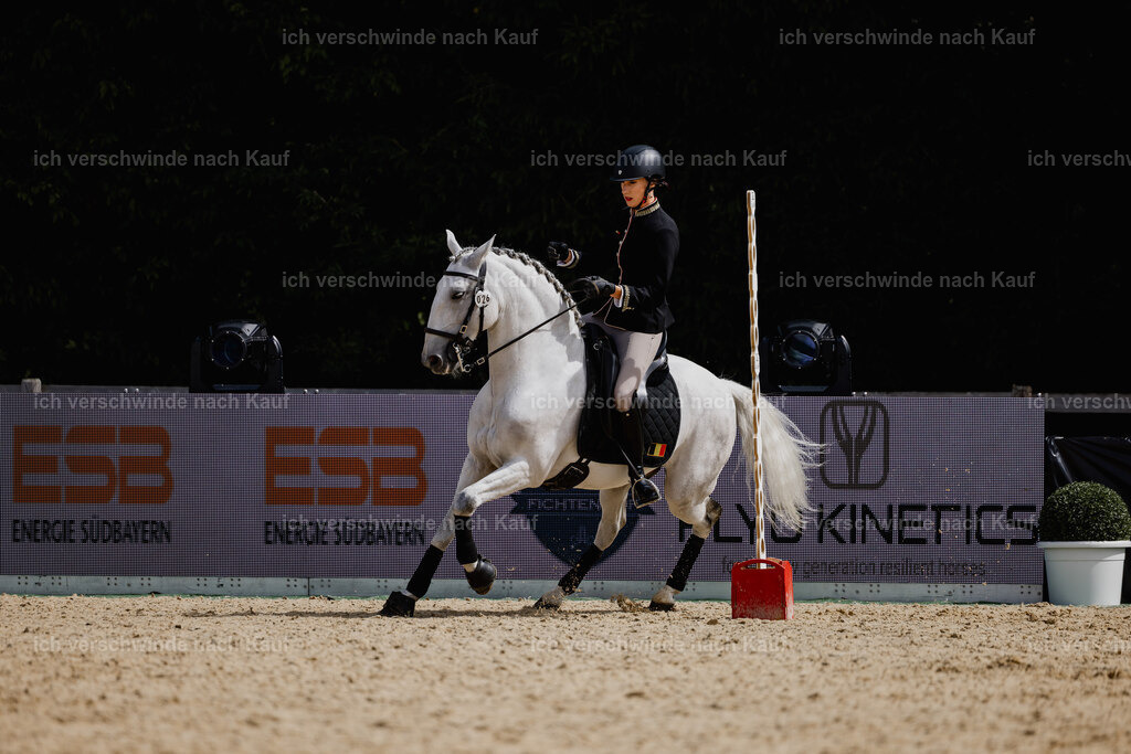 Virginie12FHC2025-20037 | working equitationturnier fotograf videograf stoibphotography marixx film working equitation deutschland reitsport turnierfotografie eventfotografie equestrian events