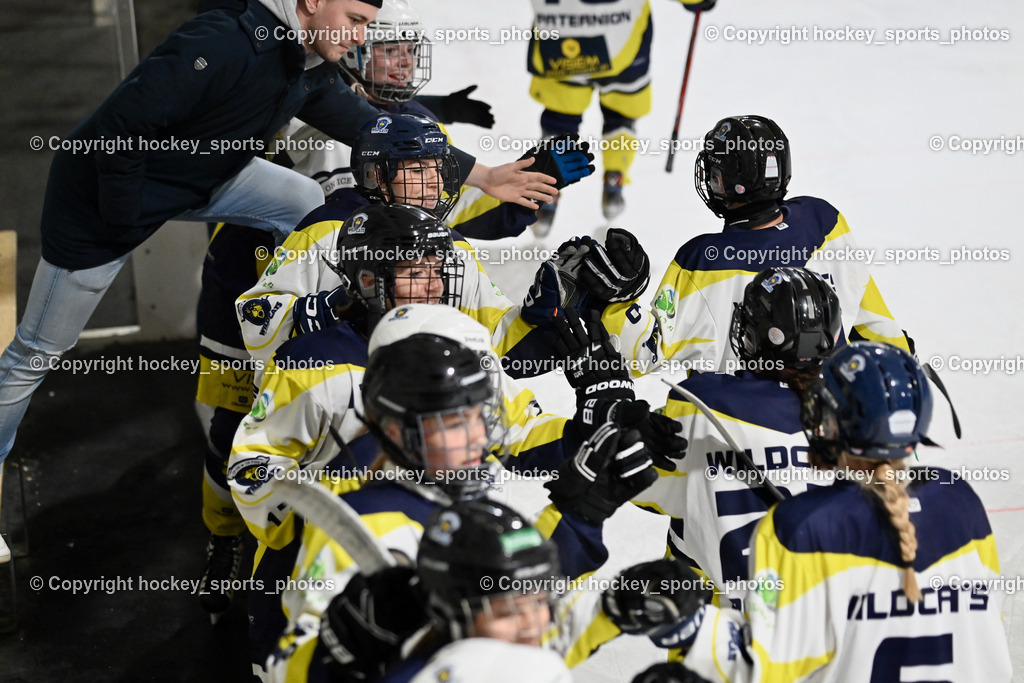 LADY HAWKS vs. WILDCATS PATERNION | Jubel Wildcats Mannschaft, LADY HAWKS vs. WILDCATS PATERNION, LADY HAWKS vs. WILDCATS PATERNION am 12.03.2025 in Steindorf (Ossiachersee Halle), Austria, (Photo by Bernd Stefan)