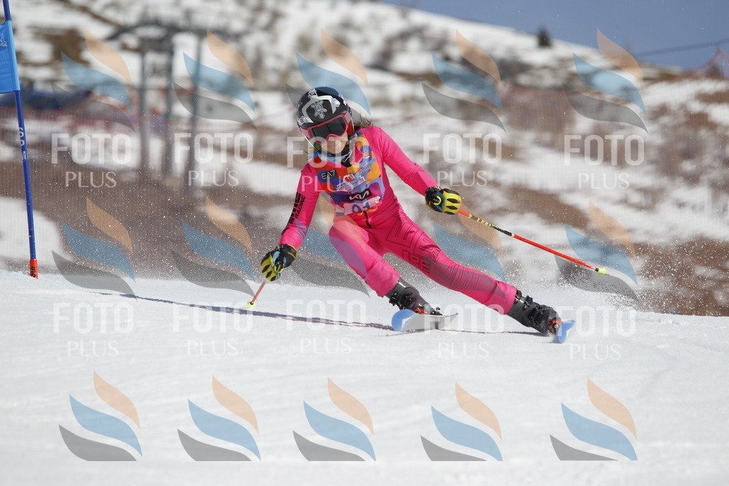 _U3G0171 | holidayphoto