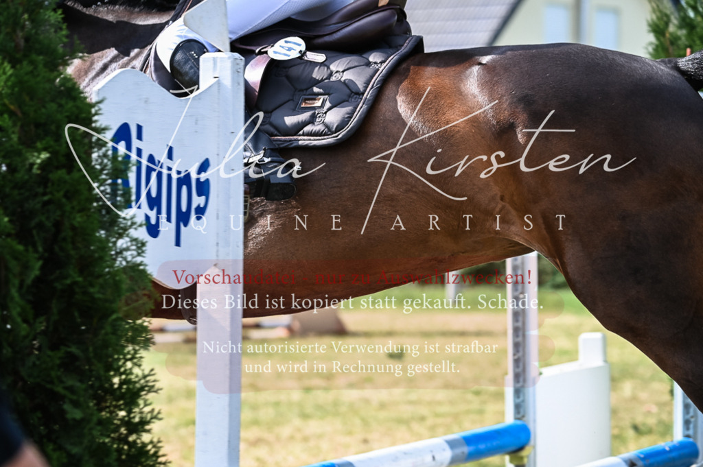 DSC_7989 | Pferde- und Turnierfotografie in Westsachsen. Pferdeportraits, Auftragszeichnungen und intuitive Kunst.