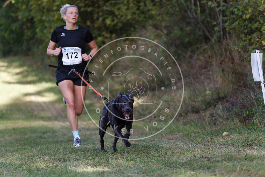 0L8A5477 | Hundefotografie, Tierfotograf, Pfotenfotografie, Fotoshooting Hund, Hunde Portrait, Hundesport, Hundeportraits, Heideshooting, Hunde, Sportfotograf, Hundefotograf, Turnierhundsport, THS,  - Realisiert mit Pictrs.com