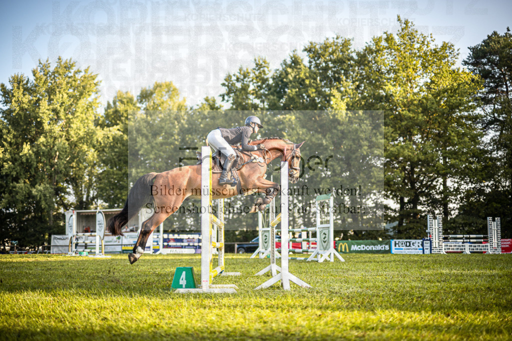 Z63_0189 | Entdecke hochwertige Reitturnierfotos von Foto Oger. Professionell, emotional und authentisch – jetzt Lieblingsmomente im Shop bestellen.Deutschlandweite Turnierfotografie. - Realisiert mit Pictrs.com