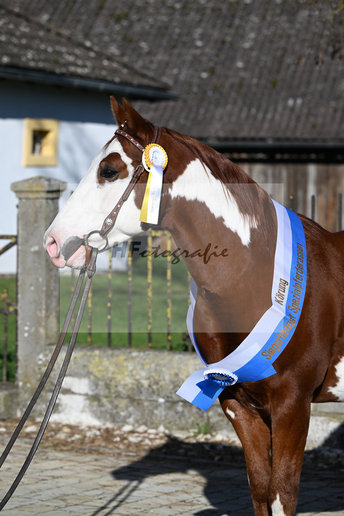 Kat-Nr. 10 ARH Like One Marvel v. One Gun_Reicherzer_49250544 | hf-fotografie - Realisiert mit Pictrs.com