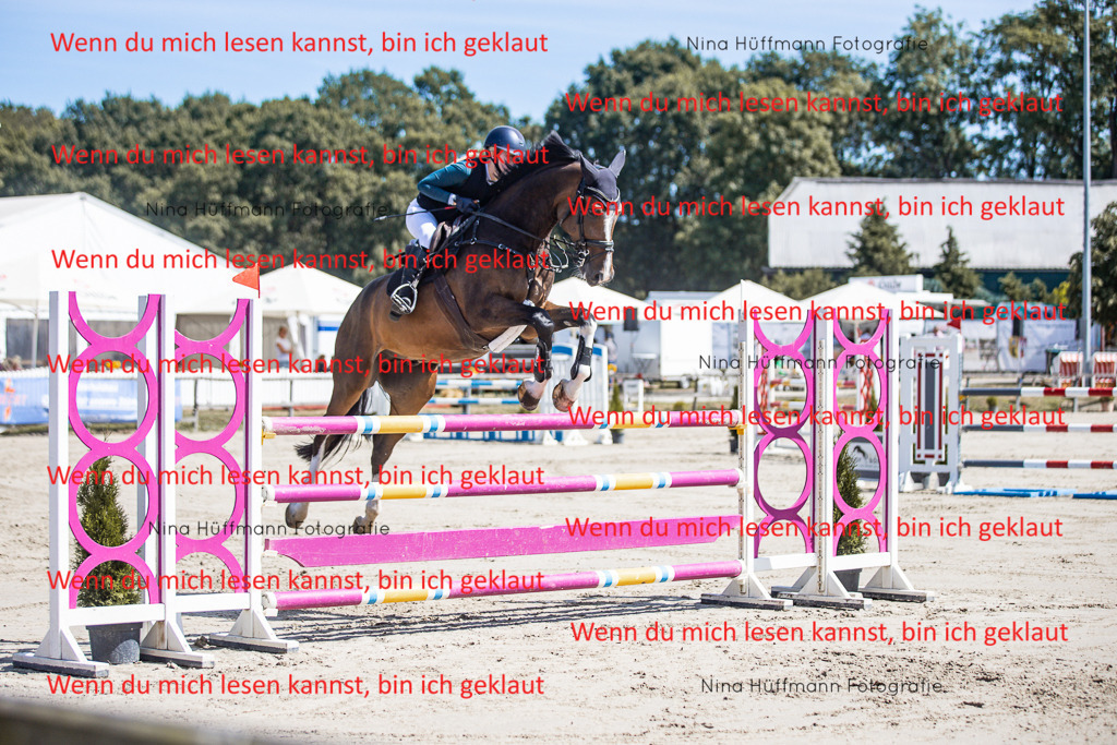BK1A6611 | Turnierbilder Turnierfotos Nina Hüffmann Turnierfotografie Pferdefotografie Tierzeichnung Haustierzeichnung Pferdezeichnung Hundezeichnung Videograf  - Realisiert mit Pictrs.com