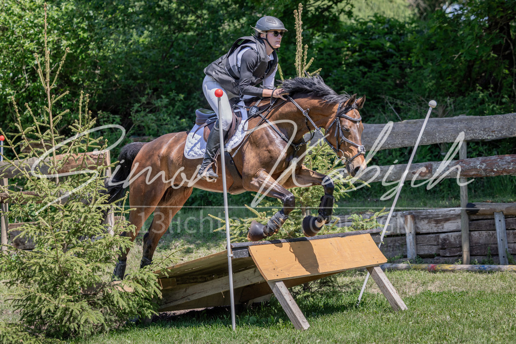 20260523-_3LI8589 | Tierfotografie Pferde, Hunde, Katzen, Haustiere.
Turnierfotografie Reitturniere, Reiten, Springreiten, Dressur in Hanau, dem Main-Kinzig-Kreis und dem Rhein-Main- Gebiet um Frankfurt