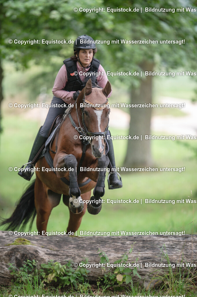 20250726_Vielseitigkeitslehrgang-Marbach_0192 | Foto: Thomas Hartig