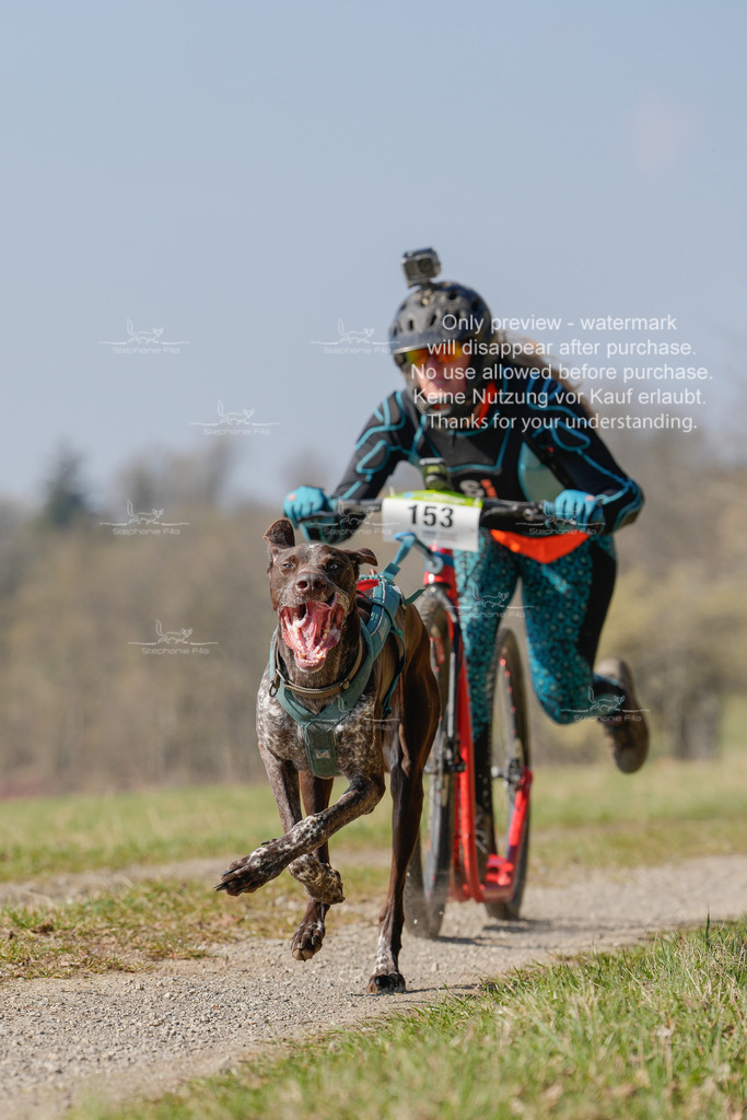 Scooter_Lang-81 | stephaniefillaphotographie - Realisiert mit Pictrs.com