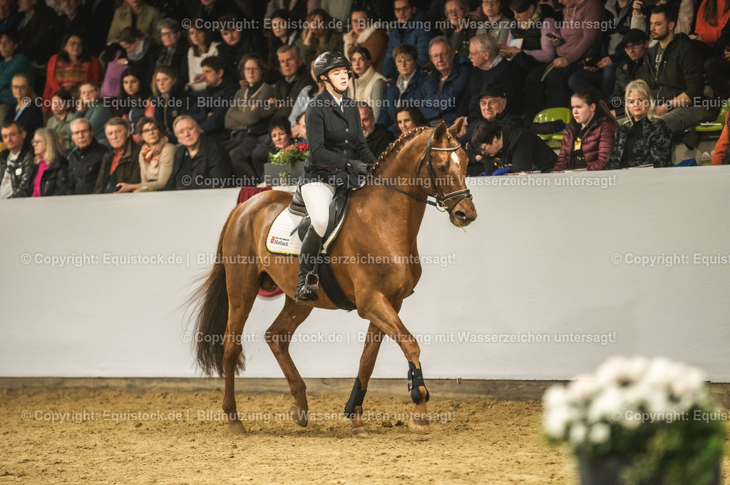 20240302_Hengstvorstellung_Marbach_TOMsPiC_1341 | equistock