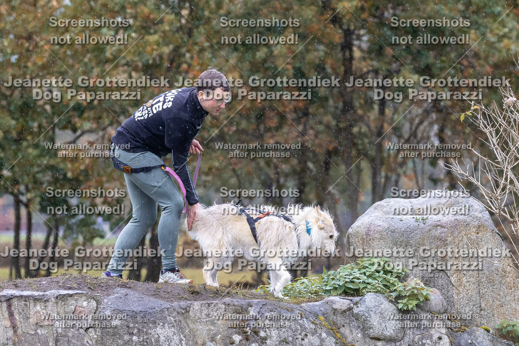 Dog Paparazzi - SD CaniX Championship 2025-720 | Dog Paparazzi Jeanette Grottendiek Fotografie & Videografie - Realisiert mit Pictrs.com