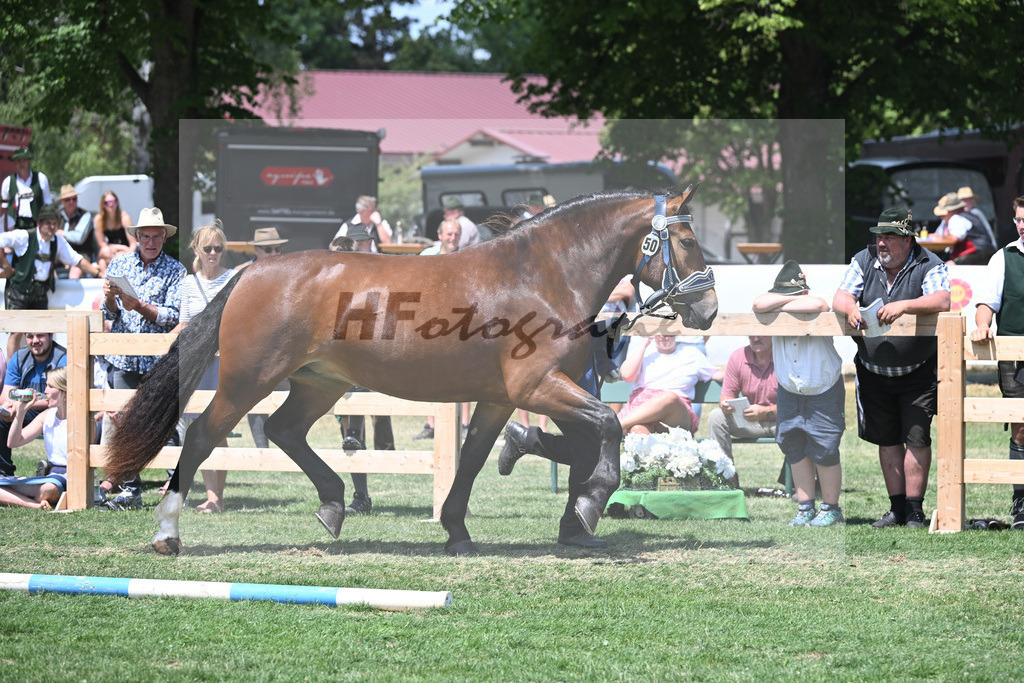 Kat-Nr. 50 Nockerl_HLG Schwaiganger_20230783 | hf-fotografie - Realisiert mit Pictrs.com