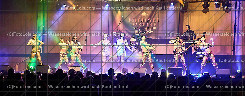ALP5817_Tribute_Michael Jackson_Wieselburg | (C)FotoLois.com, Alois Spandl.  Michael Jackson Tribute-Konzert im Wieselburger NV-Forum, Mi 30. Oktober 2024.