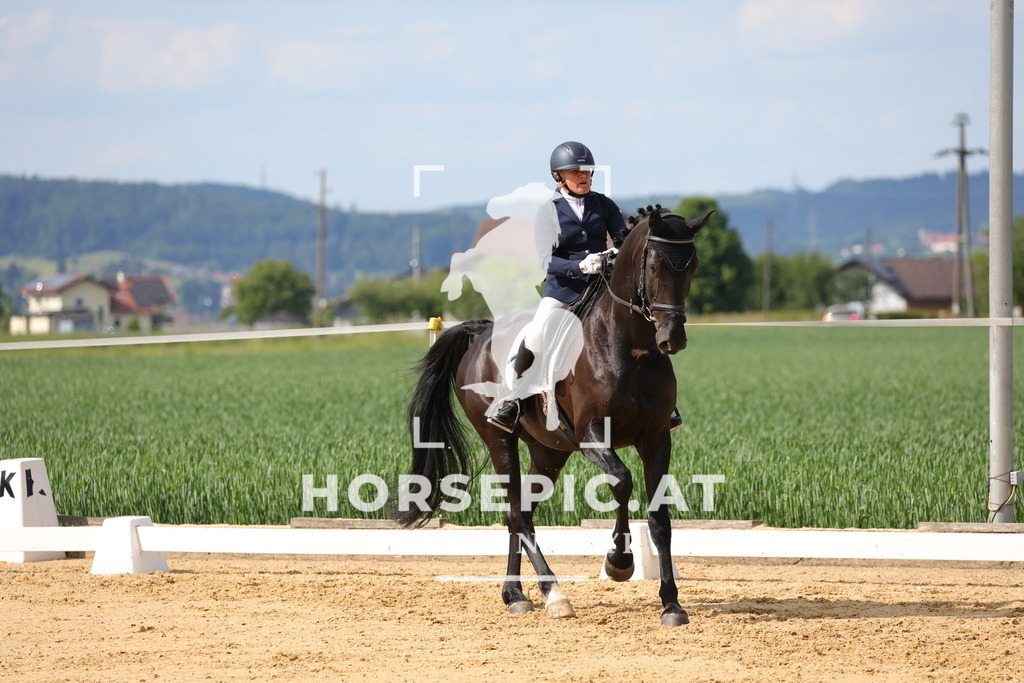 0P6A9106 | Willkommen bei Brunnmayr - Design & Fotografie – Ihrem Spezialisten für Reitturniere und Pferdeveranstaltungen in Oberösterreich, Salzburg und Bayern! Seit über 17 Jahren sind wir leidenschaftlich dabei.