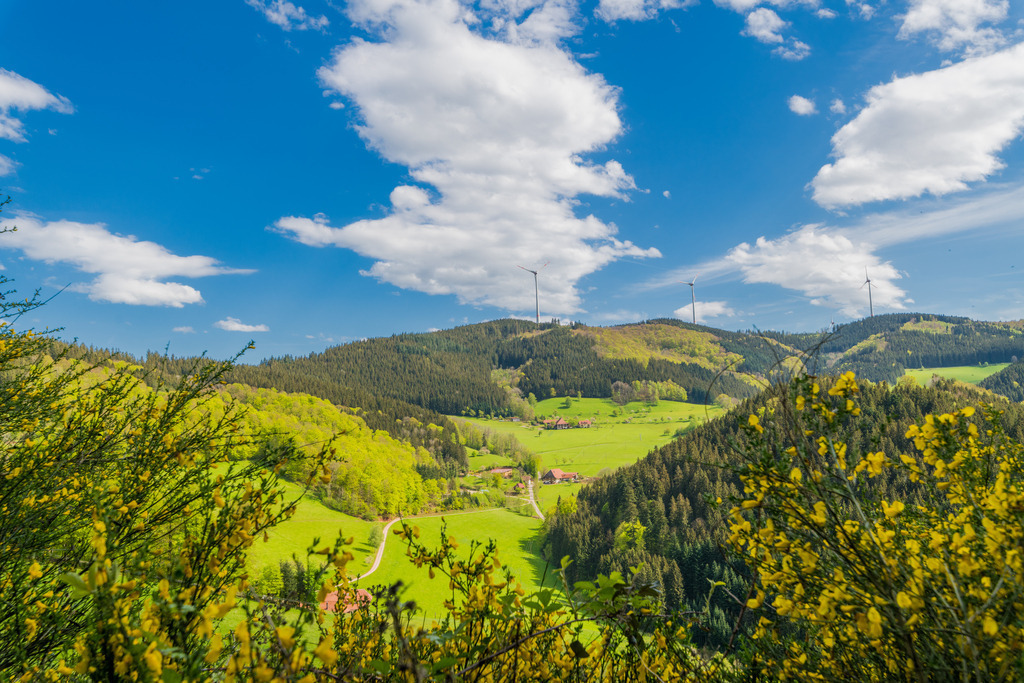 muehlenbach_270424-45 | <div id="allefotografen-seal-verified-green"></div><script src="https://www.allefotografen.de/956728/seal-verified-green/seal.js" async="async"></script> - Realisiert mit Pictrs.com