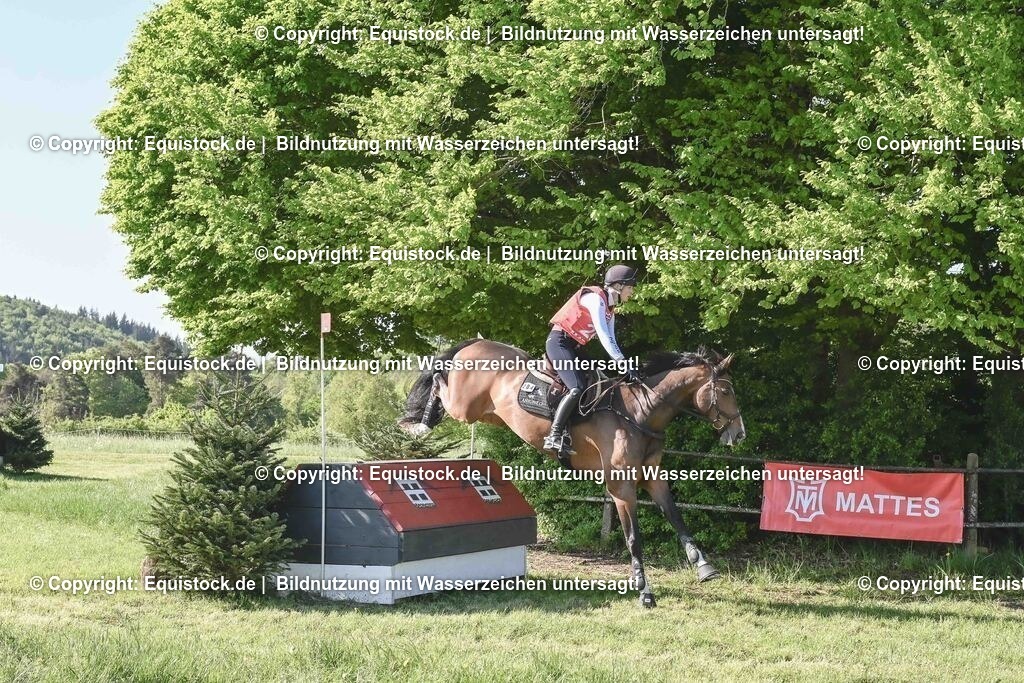 20250517_CCI2_Gelände_0605 | Foto: Thomas Hartig
