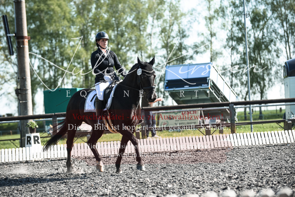 DSC_8611 | Pferde- und Turnierfotografie in Westsachsen. Pferdeportraits, Auftragszeichnungen und intuitive Kunst.