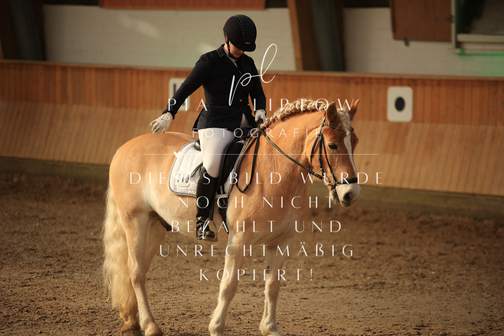 IMGT1947 | pl-fotografie