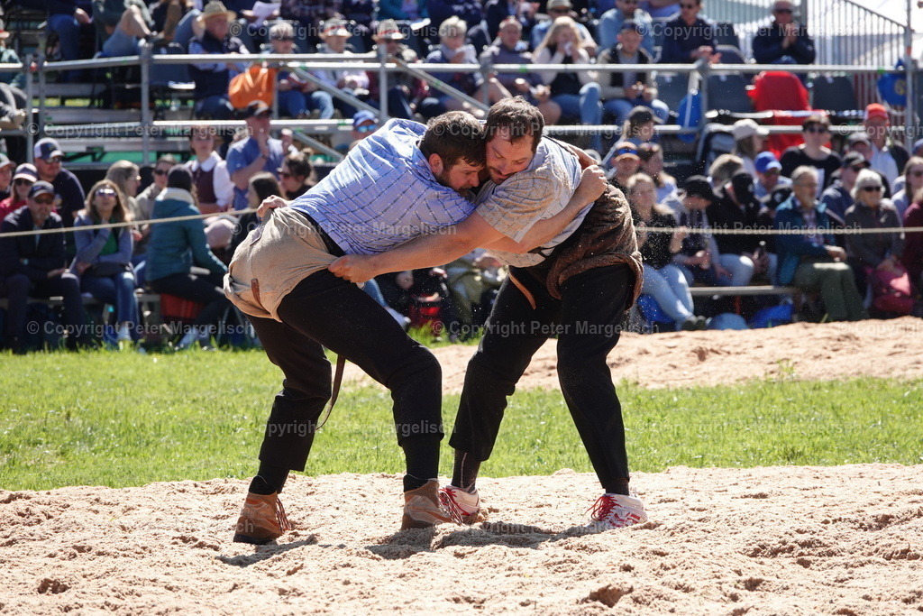 DSC00953 | Schwingen - Realisiert mit Pictrs.com