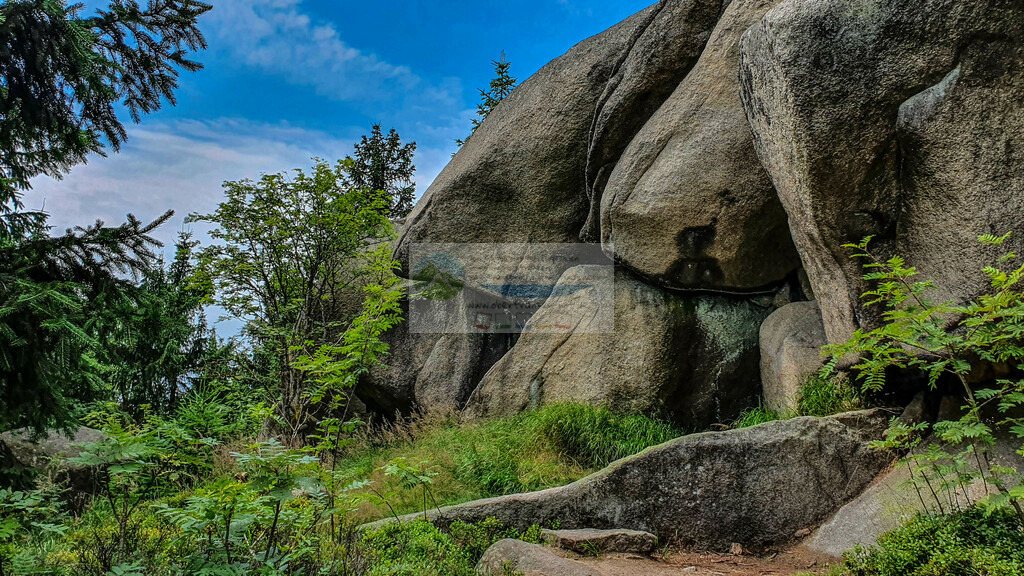 Nußhardt Sommer | Impressionen rund um Hochfranken - Frankenwald - Fichtelgebirge - Realisiert mit Pictrs.com