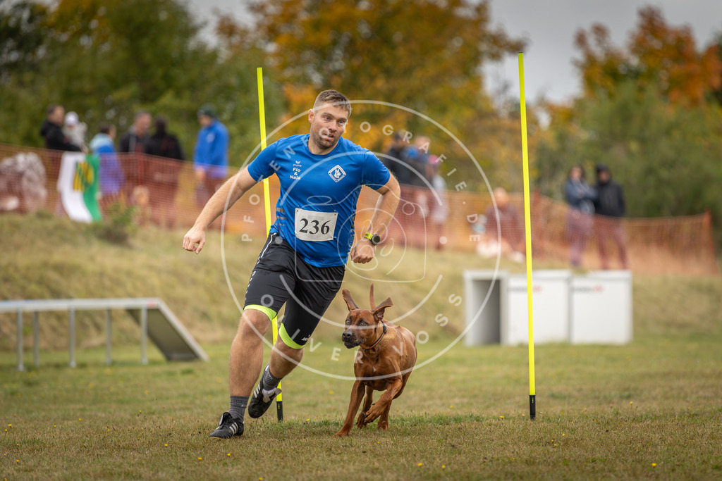 Pfotenfotografie_DV3A5256 | Hundefotografie, Tierfotograf, Pfotenfotografie, Fotoshooting Hund, Hunde Portrait, Hundesport, Hundeportraits, Heideshooting, Hunde, Sportfotograf, Hundefotograf, Turnierhundsport, THS,  - Realisiert mit Pictrs.com