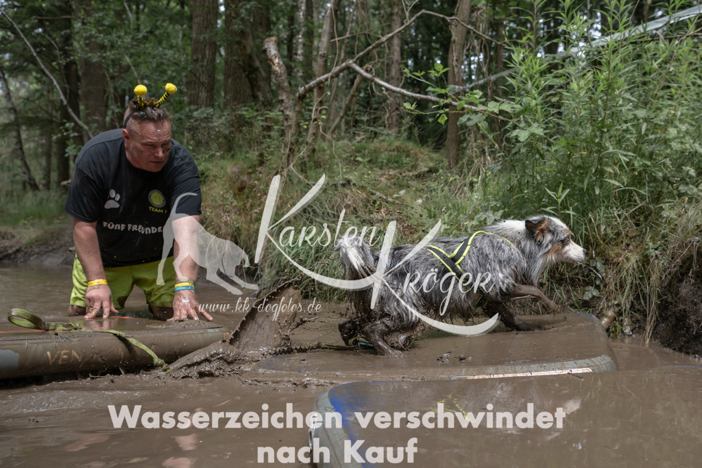 1337_ZZ94992 | kk-dogfotos