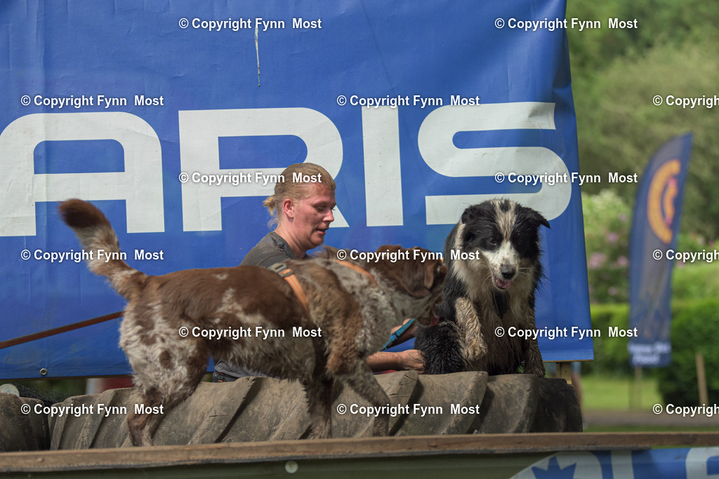DSC_0692 | Hallo und herzlich Willkommen auf meiner Shop-Seite Fynn Most.

Ich wünsche Dir viel Spaß beim stöbern durch die Bilder, wenn Du Fragen hast oder Bilder vermisst, kannst du mir gerne eine Nachricht schreiben. - Realisiert mit Pictrs.com