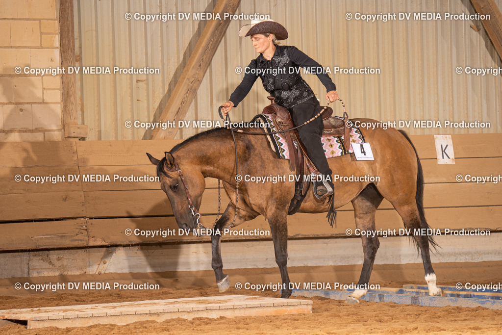 NID00617 | dv-media-shop - Realisiert mit Pictrs.com