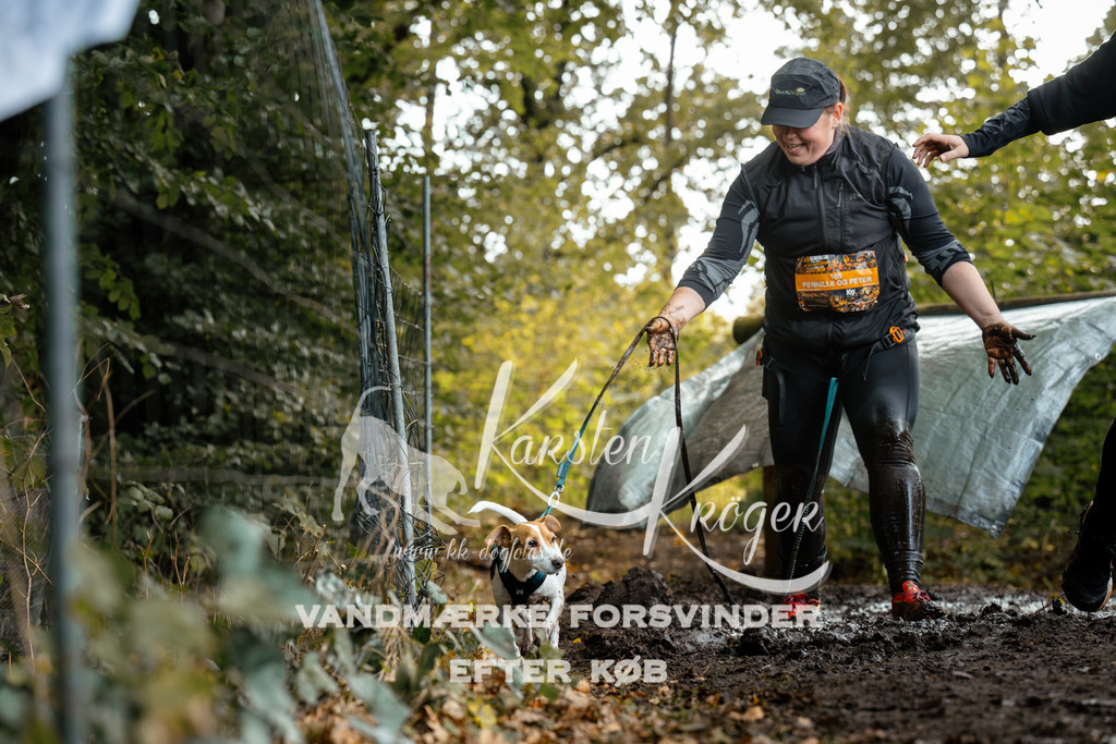 1438DZ6_3319Z6 | kk-dogfotos