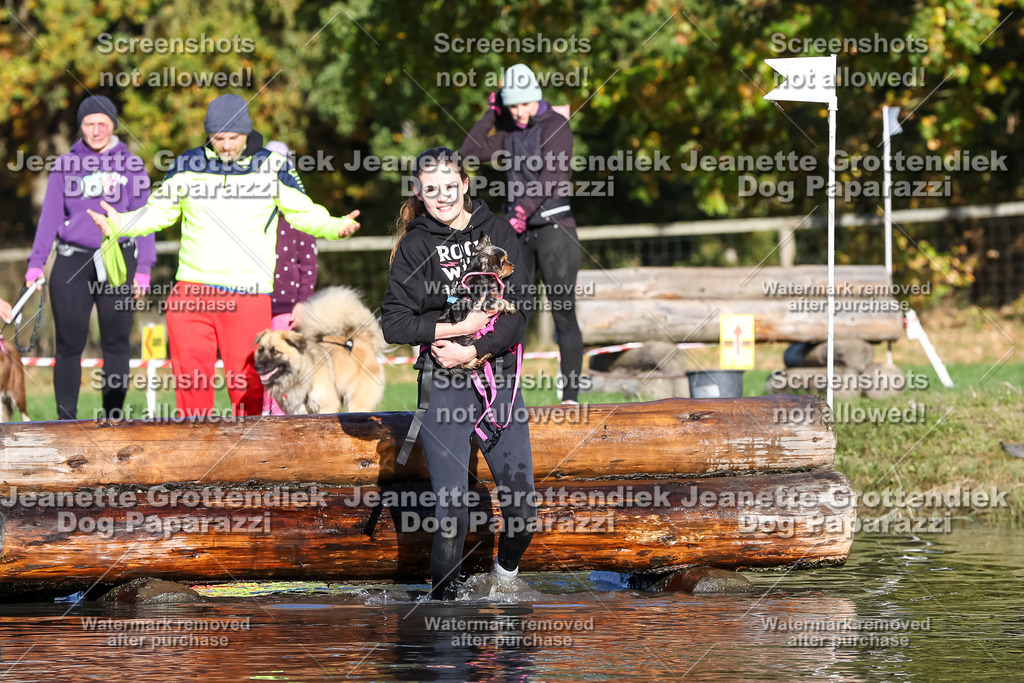 Dog Paparazzi - Strongdog 10-25-8773 | Dog Paparazzi Jeanette Grottendiek Fotografie & Videografie - Realisiert mit Pictrs.com