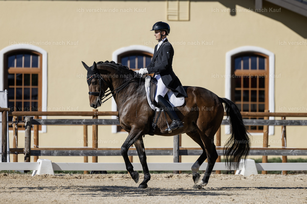 FHC2026_P09_242_18603 | Fichtenhof Classics 2026 – Grand Prix de Dressage - VOLTAIRE Design Preis, Reitanlage Fichtenhof, Sch ftlarn
