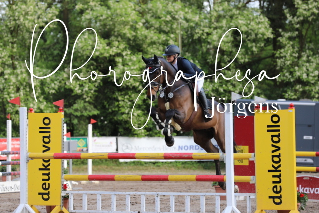 IMG_9118 | photographesa-joergens - Realisiert mit Pictrs.com