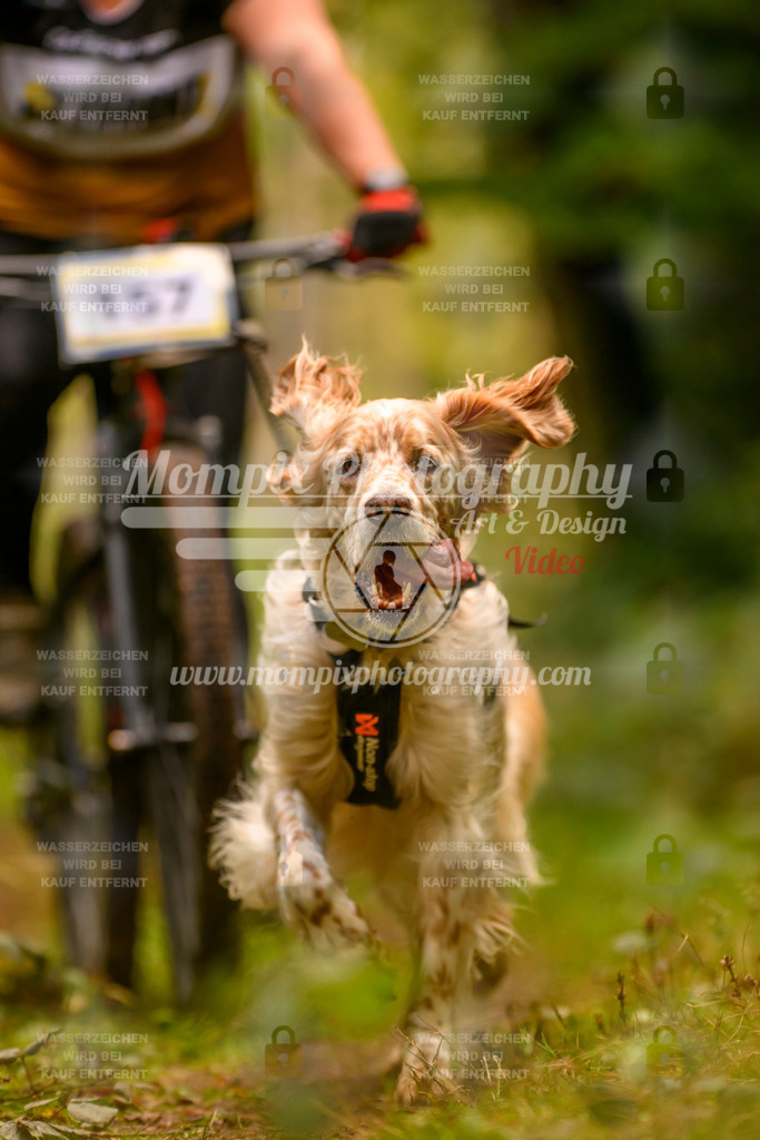 MompixPhotography_Yens2025_B2-148 | PayLife