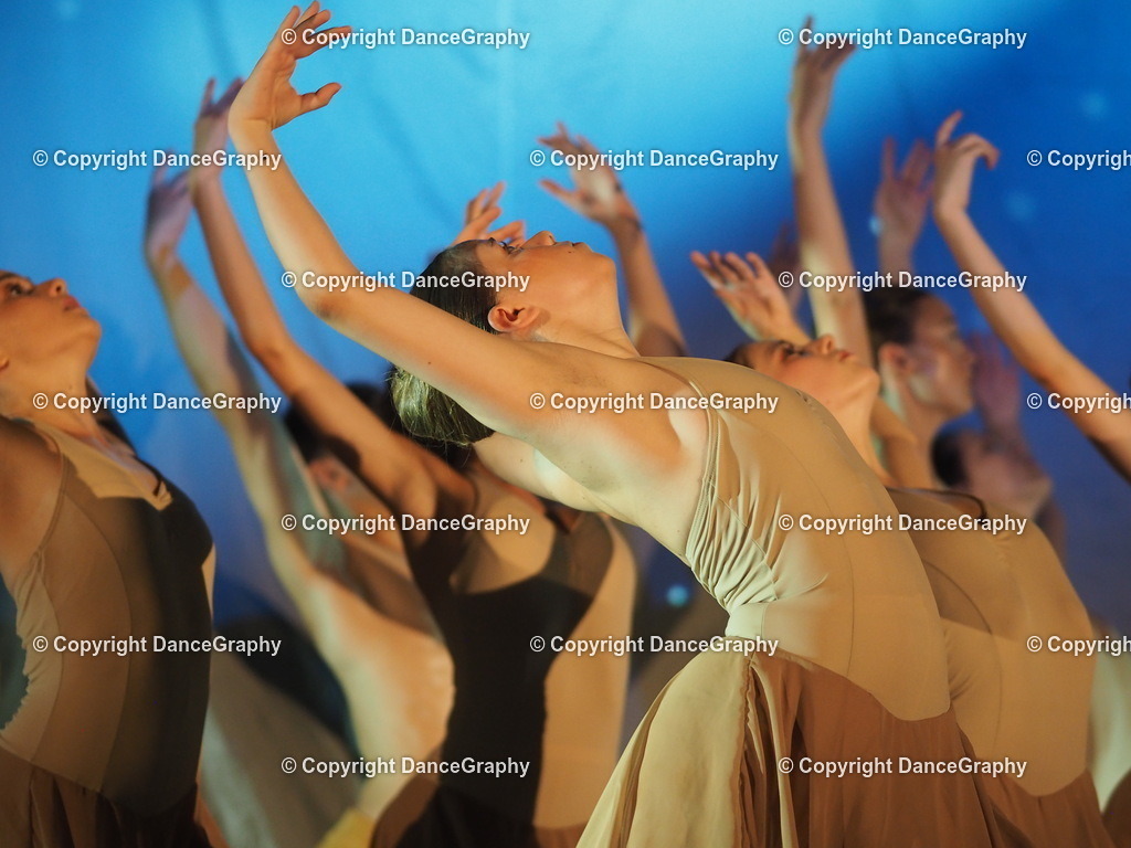 P6280233 | DanceGraphy - Realisiert mit Pictrs.com