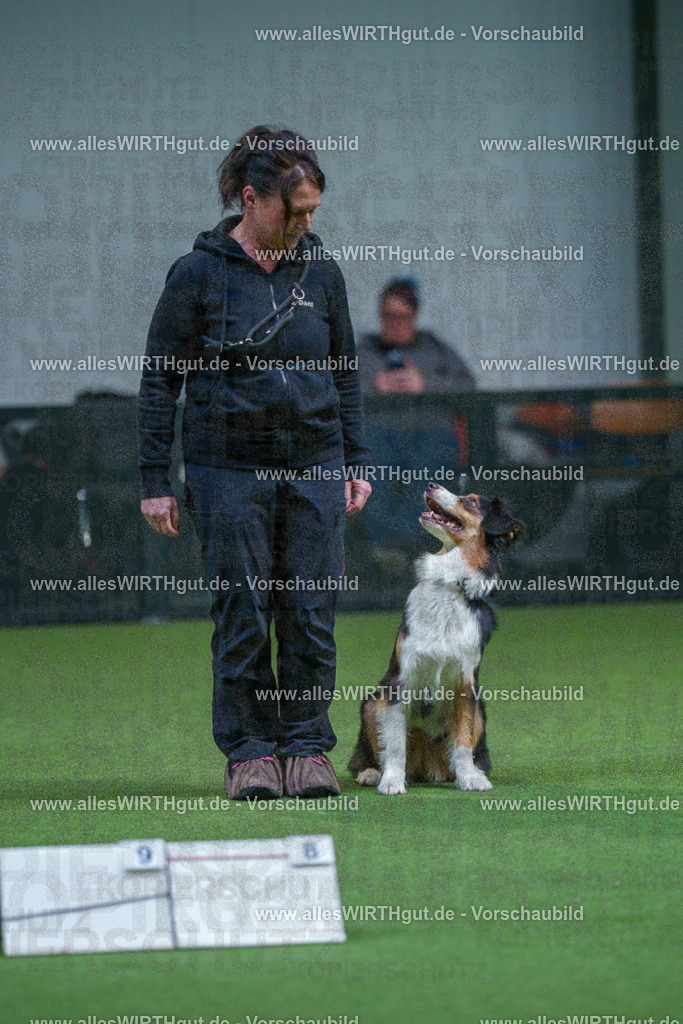 7R501989 | Professionelle Tierfotografie in Mönchengladbach von Daniel Wirth (allesWIRTHgut). Liebevolle & natürliche Bilder von Hunden & Katzen für unvergessliche Erinnerungen.