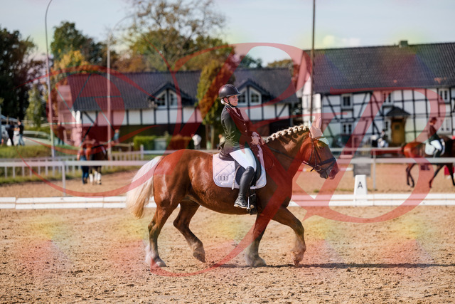 2026_10_03_Siefer-Hof_130440_Z63_67578957 | Professionelle Reitsport-, Turnier- und Eventfotografie von Robert Broda. Galerien mit ausgewählten und bearbeiteten Bildern direkt online ansehen und bestellen.