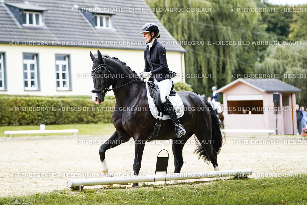 DSC09729 | Pferdegrafie