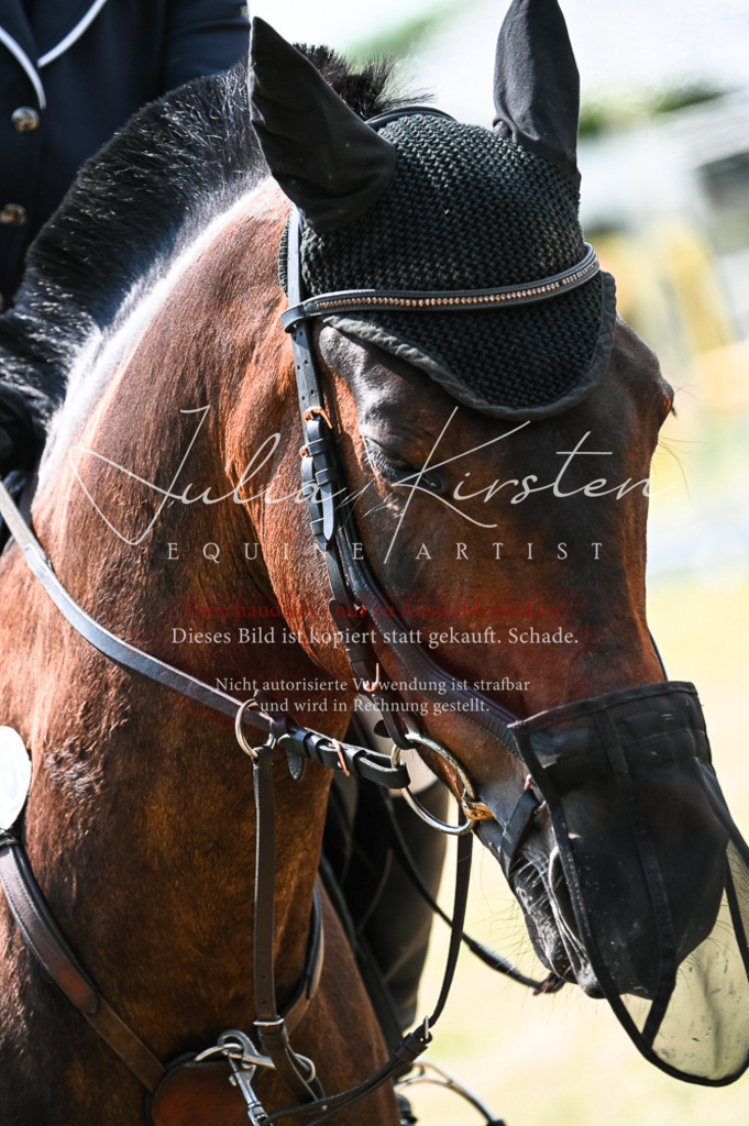 DSC_8864 | Pferde- und Turnierfotografie in Westsachsen. Pferdeportraits, Auftragszeichnungen und intuitive Kunst.