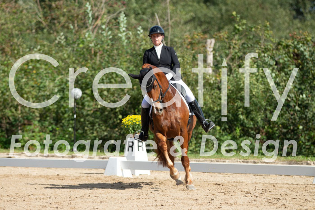 IMG_2643 | Creatify Fotografie