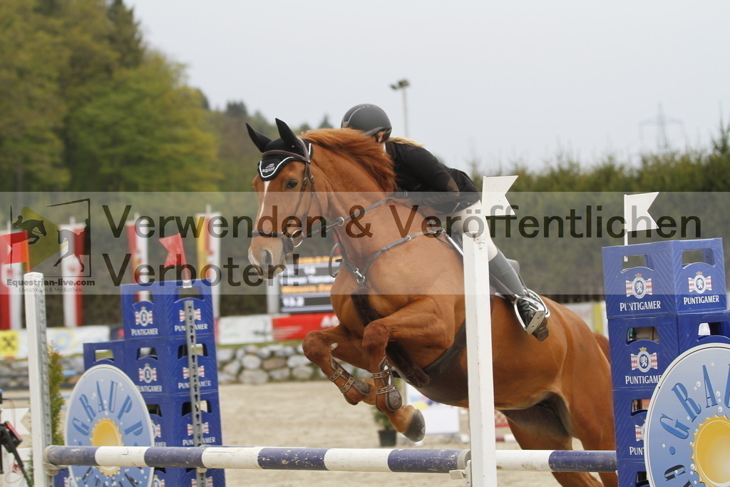 _MG_1161 | equestrian-live-com