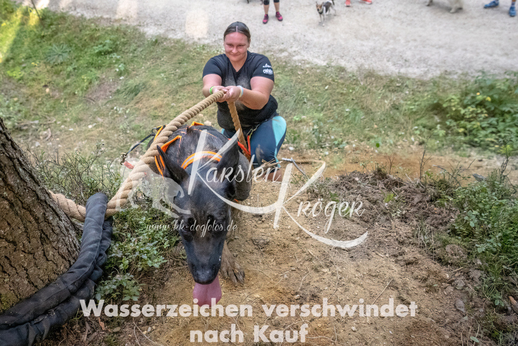 0950_ZZ93313-DeNoiseAI-low-light | kk-dogfotos