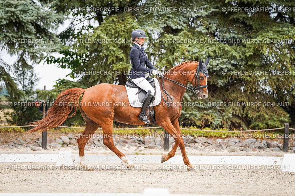 DSC04763 | Pferdegrafie