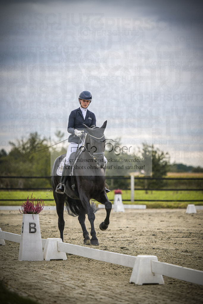 DOS_2168 | Entdecke hochwertige Reitturnierfotos von Foto Oger. Professionell, emotional und authentisch – jetzt Lieblingsmomente im Shop bestellen.Deutschlandweite Turnierfotografie. - Realisiert mit Pictrs.com