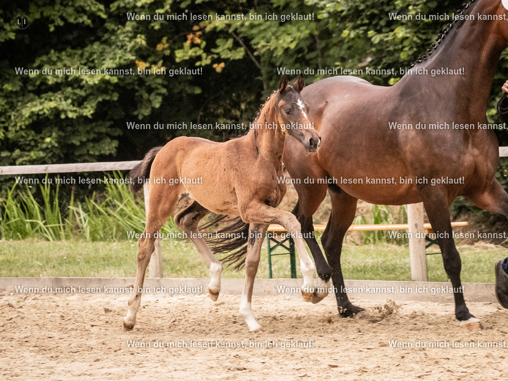 A10I6158 | photographylinaismer - Realisiert mit Pictrs.com