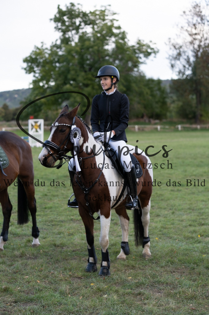 A7V06245 | Pferdefotograf