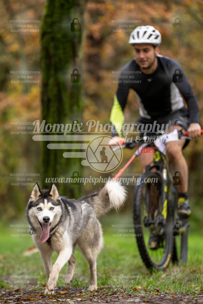 MompixPhotography_Bischwiller23_Bike-46 | PayLife