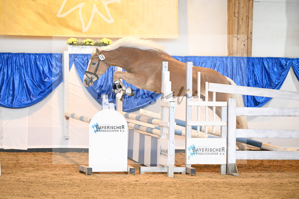 Kat-Nr. 12 Sterzing v. Steingold_Niedermair_60220162 | hf-fotografie - Realisiert mit Pictrs.com