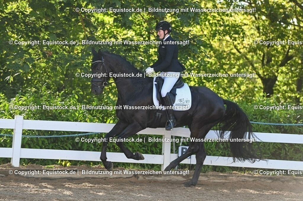 20230715_06_Dressurpferdeprfg. Kl.A_0022 | equistock